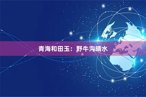 青海和田玉：野牛沟晴水